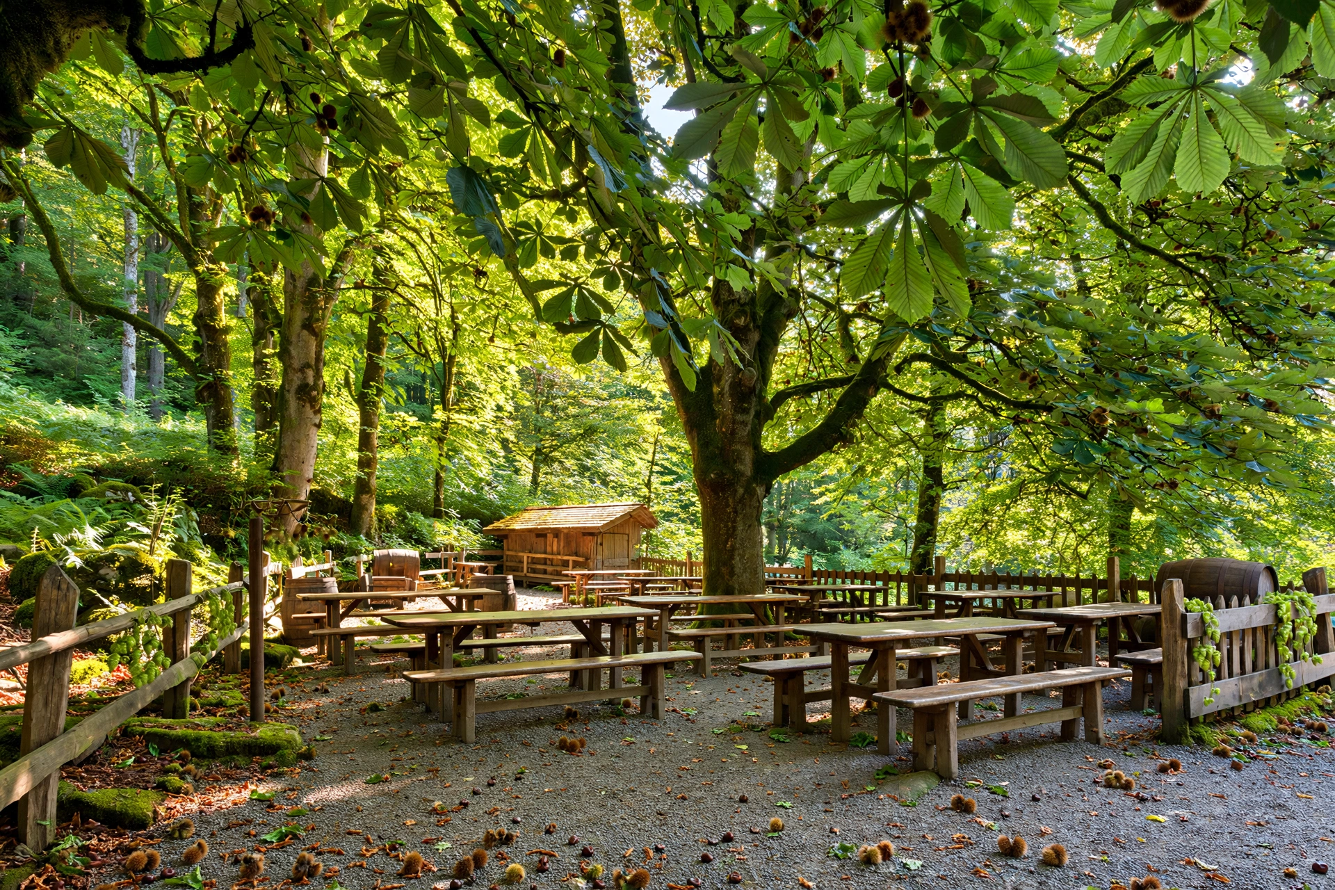 Weiler Hütte Biergarten Biergarten der Weiler Hütte